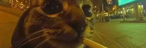 Chamitoo_12's profile banner image