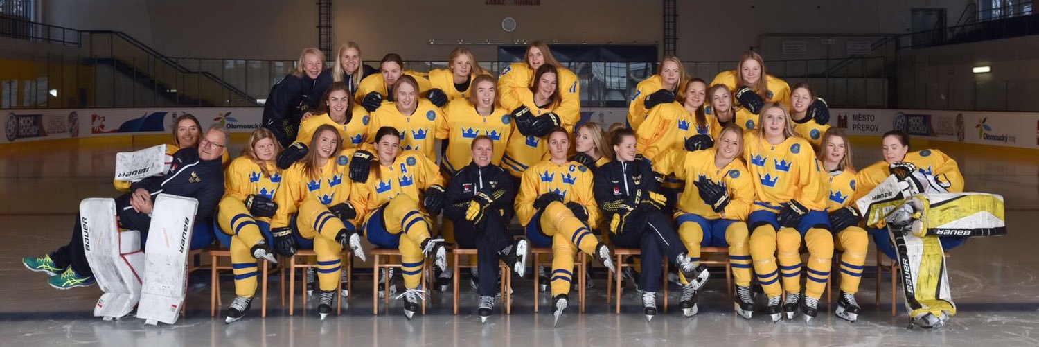 fia_larsson's profile banner image