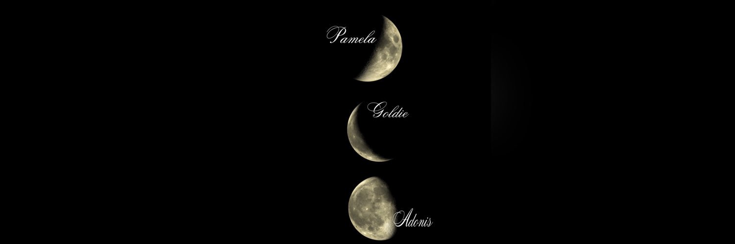 PiscesTaboo's profile banner image