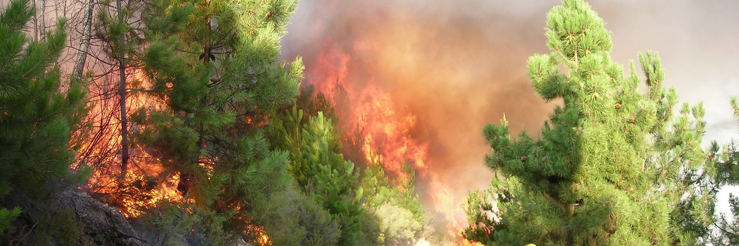 Alfonso G. Hompanera banner