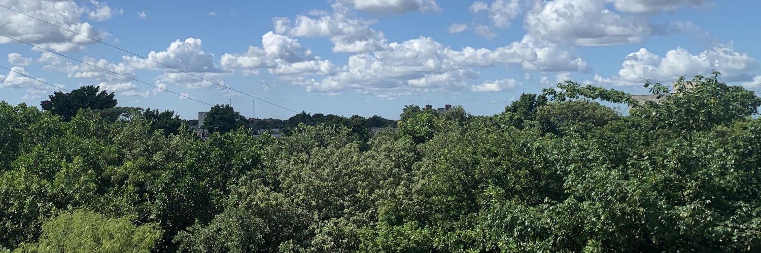 Comandante Glande banner