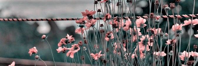 مرسیــ آ🍇 banner