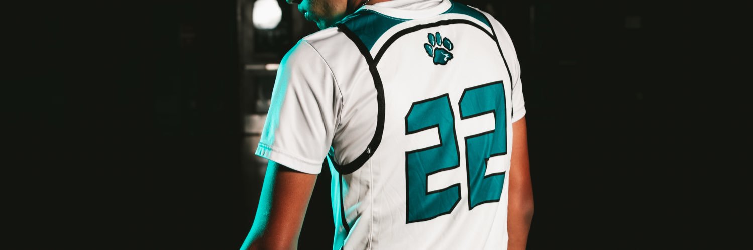 Adrian Guzman banner