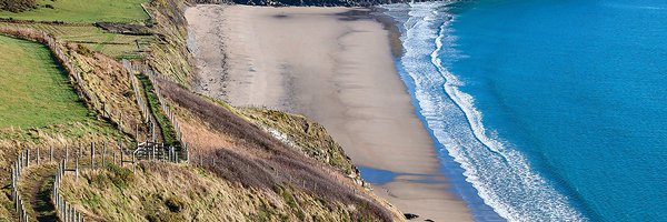 WelshyBot Profile Banner