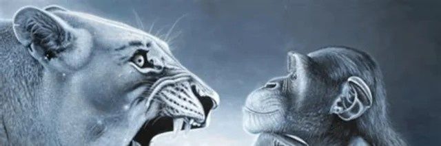 Hajime_147's profile banner image