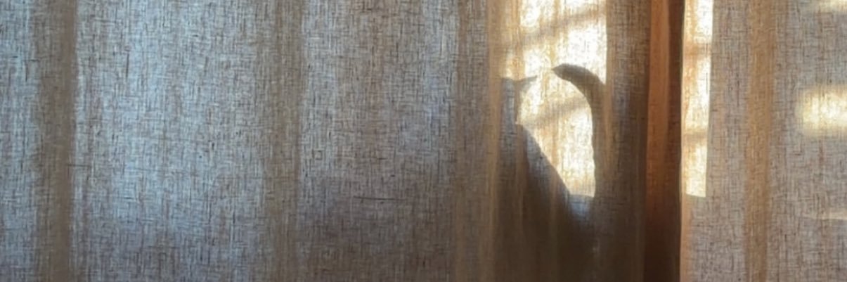 inès 🌷 banner