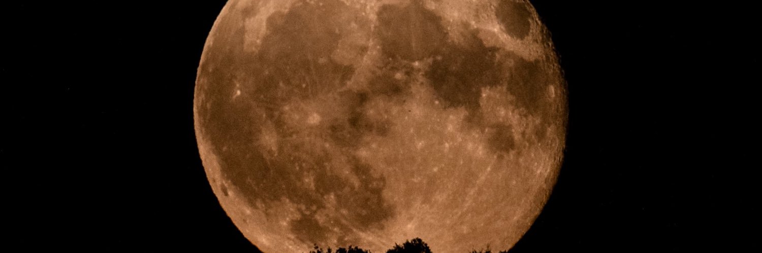 lustylipstick's profile banner image