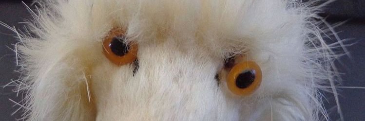 emmaberocca's profile banner image