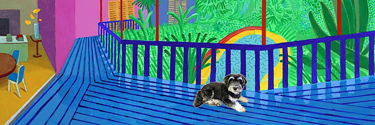 Jacky Havanese ⭐️'s banner