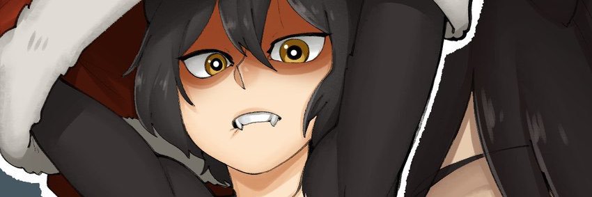 Izutsumi banner