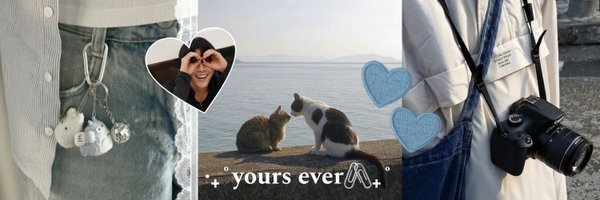 fiirmeow Profile Banner