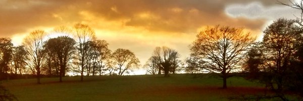 NeilScaife1 Profile Banner