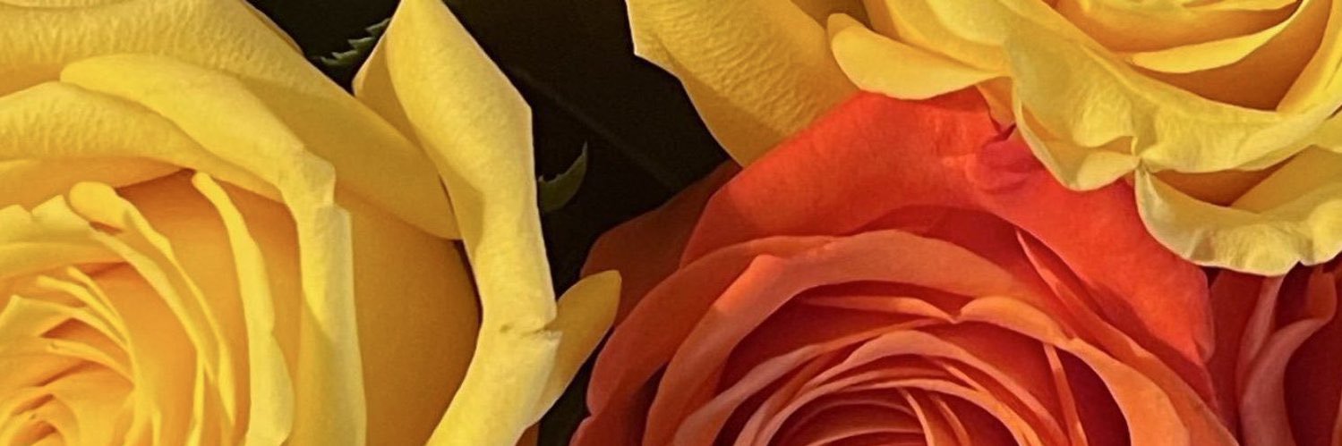 Ama💋 banner