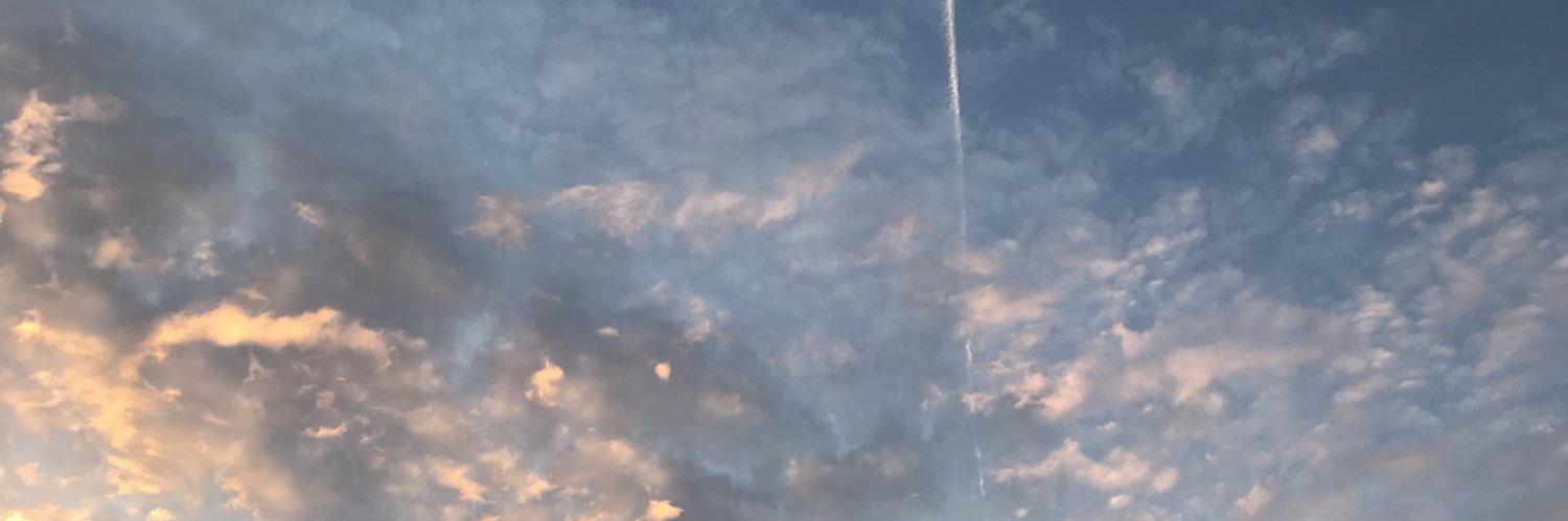 izzynorden's profile banner image