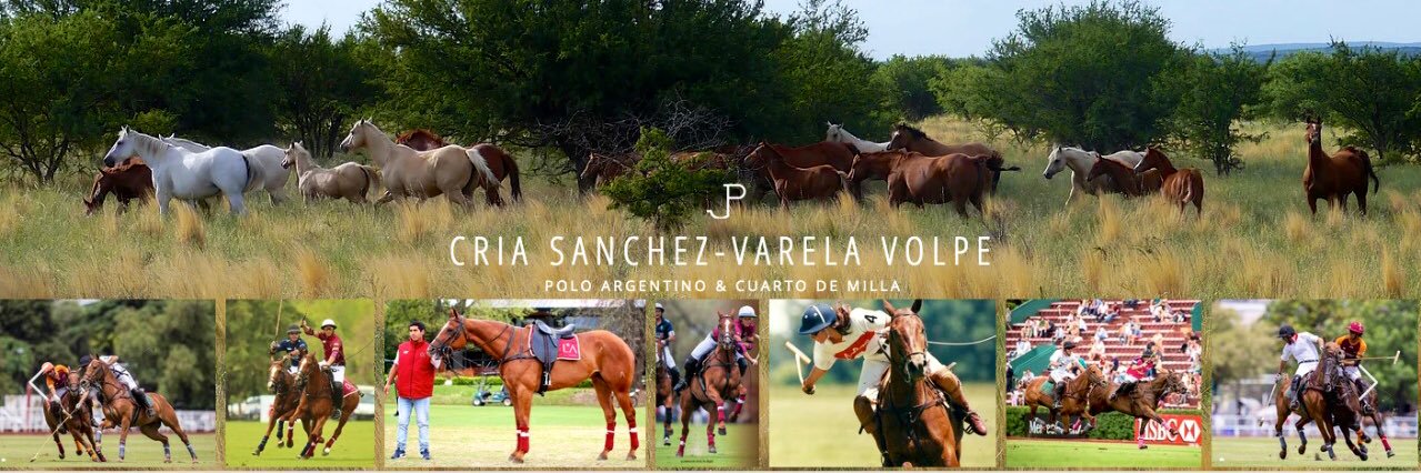 JSanchezVarel's profile banner image