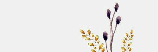 _AndreaFtes's profile banner image