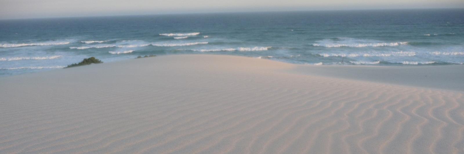 Nemetics Institute banner