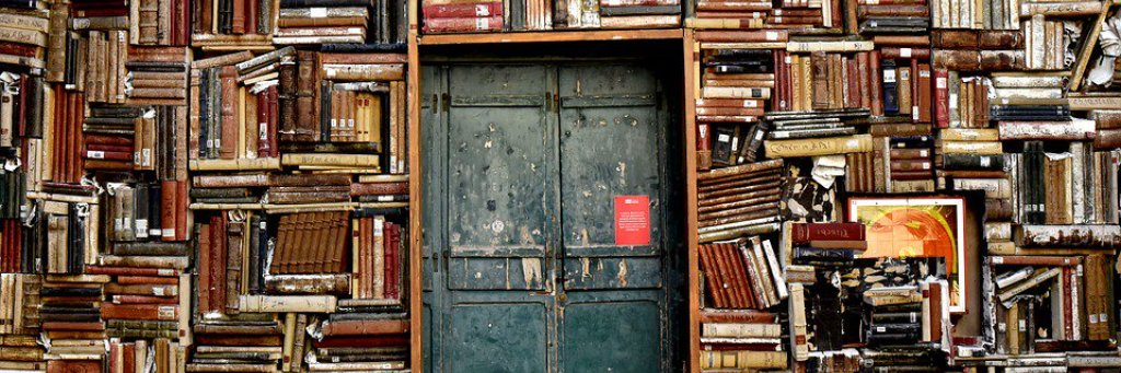 Beatriz Torío banner