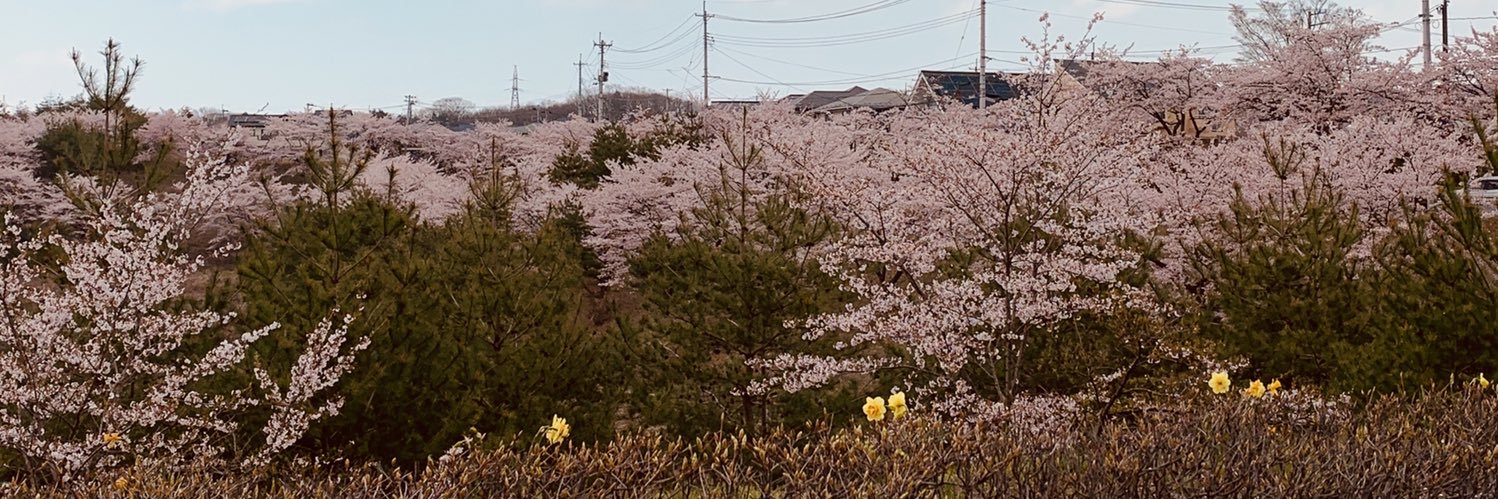tsjantana's profile banner image