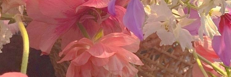 Iemonzs's profile banner image