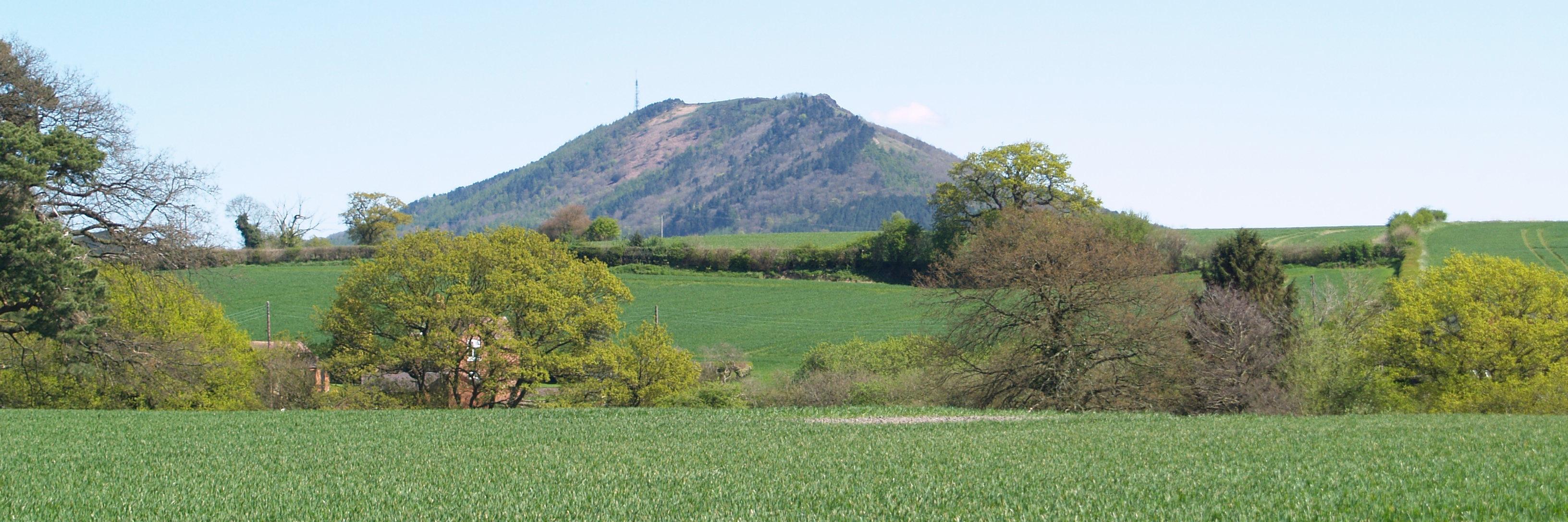 Chris Pritchard banner