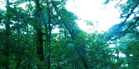 nmmbkai's profile banner image