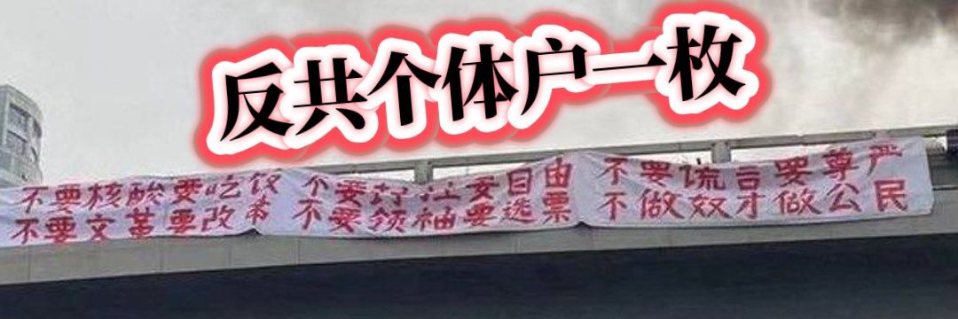 王昊龍-自由之歌🎵 banner