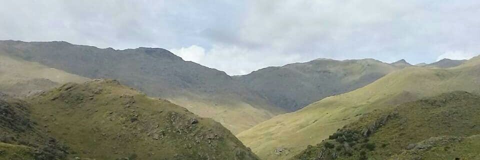 dediosfernanda5's profile banner image