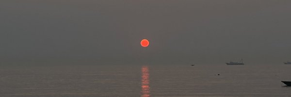 mint1618680 Profile Banner