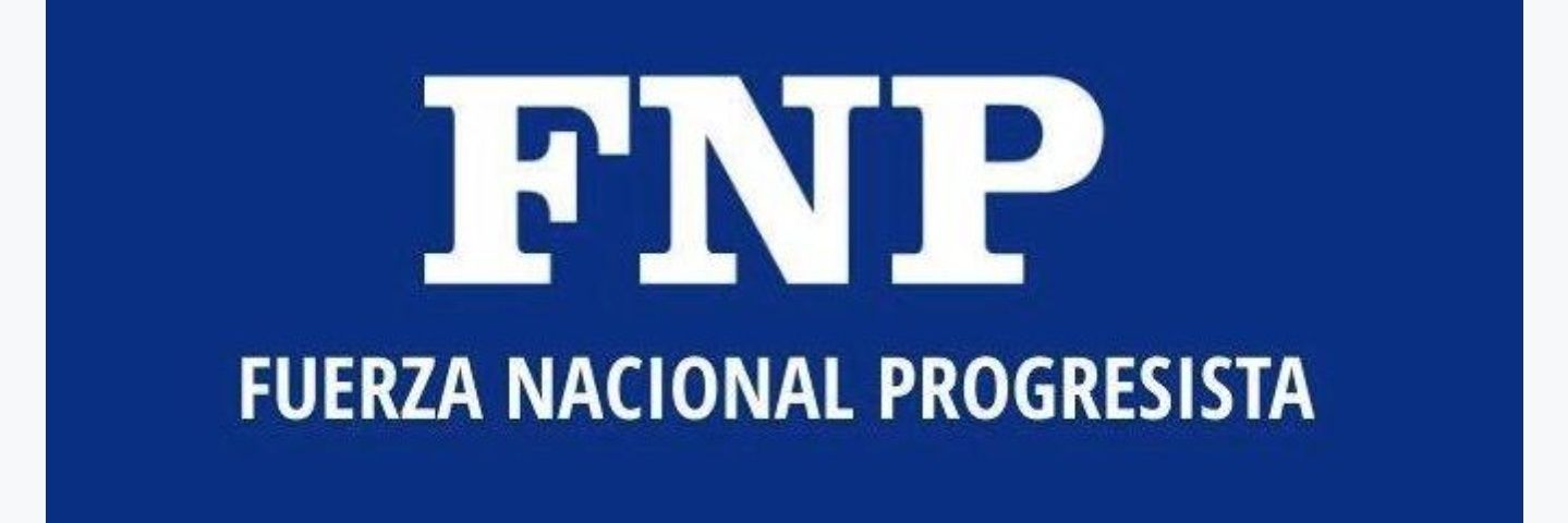 fuerza nacional progresista banner
