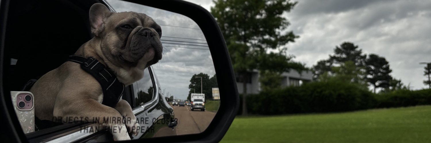alliegarner552's profile banner image