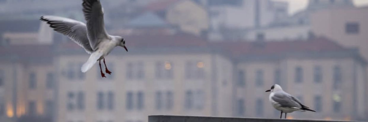 yagiz06's profile banner image