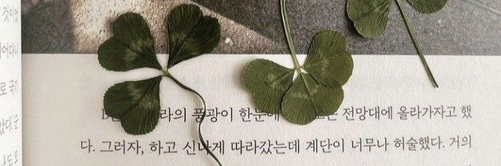 poomkhow's profile banner image
