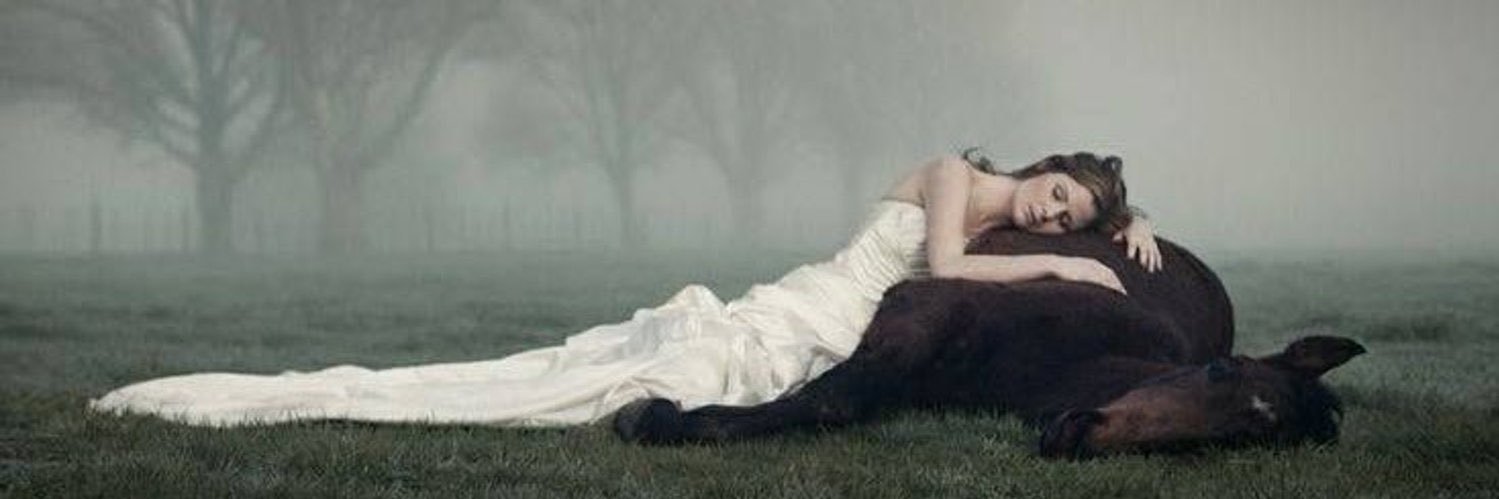 TheEnglishLady banner