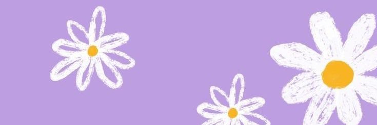 Ferochoaaa's profile banner image