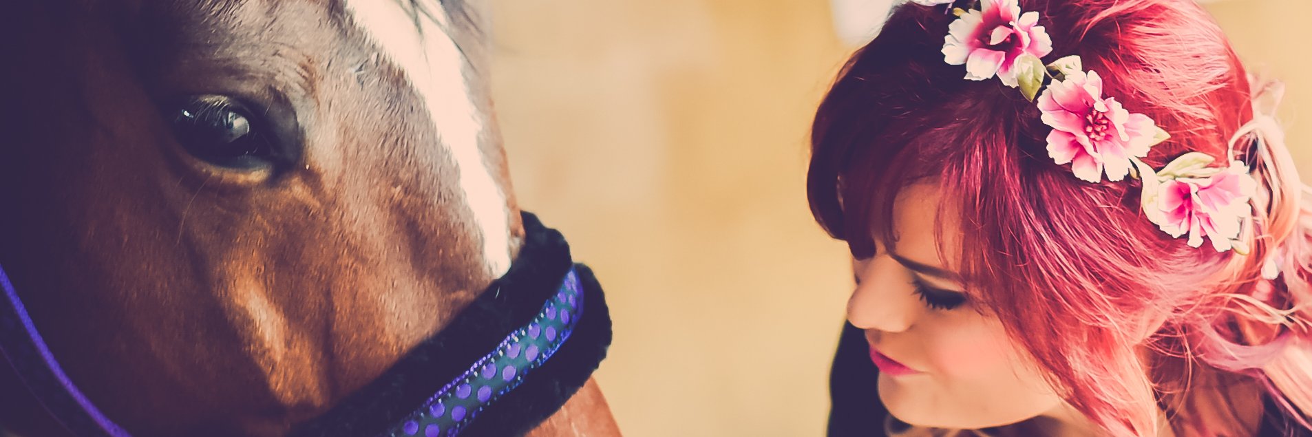 EloiseBa87's profile banner image