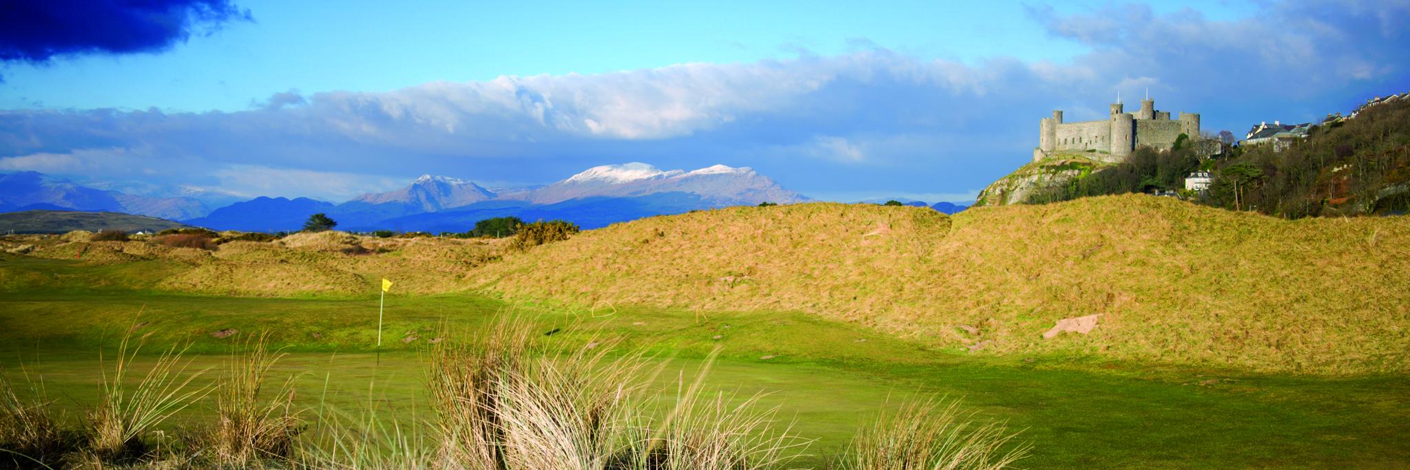 Golfers Local banner