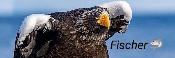cale_fischer Profile Banner