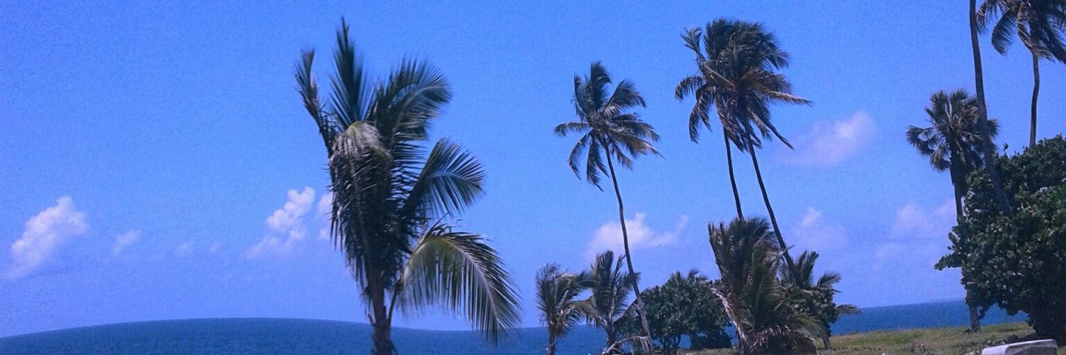 Rossangel_22's profile banner image