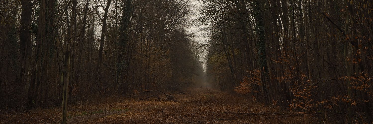 FrancisRave's profile banner image