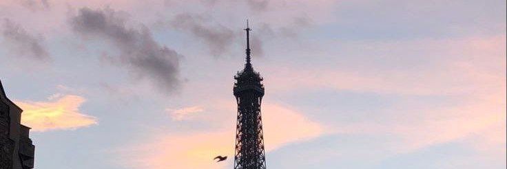 𝓗𝓪𝓷𝓪᭺ banner