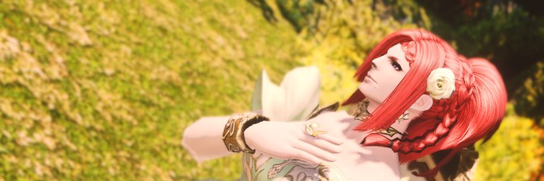 Senohayami's profile banner image