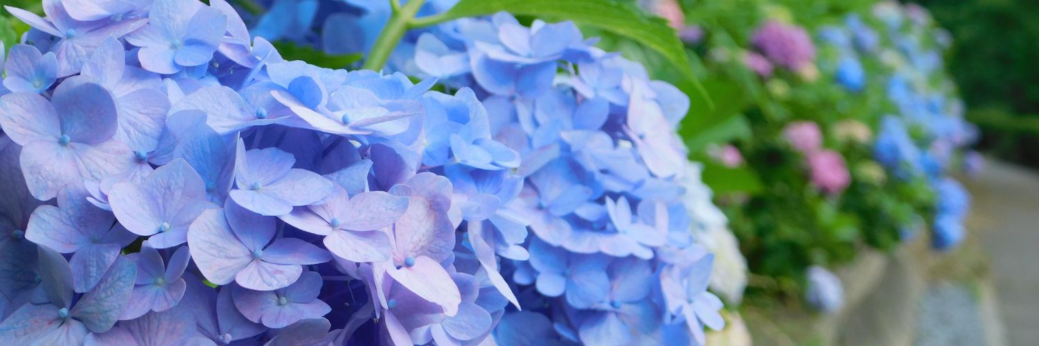 azaarasan's profile banner image