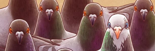 Hato@4077 banner