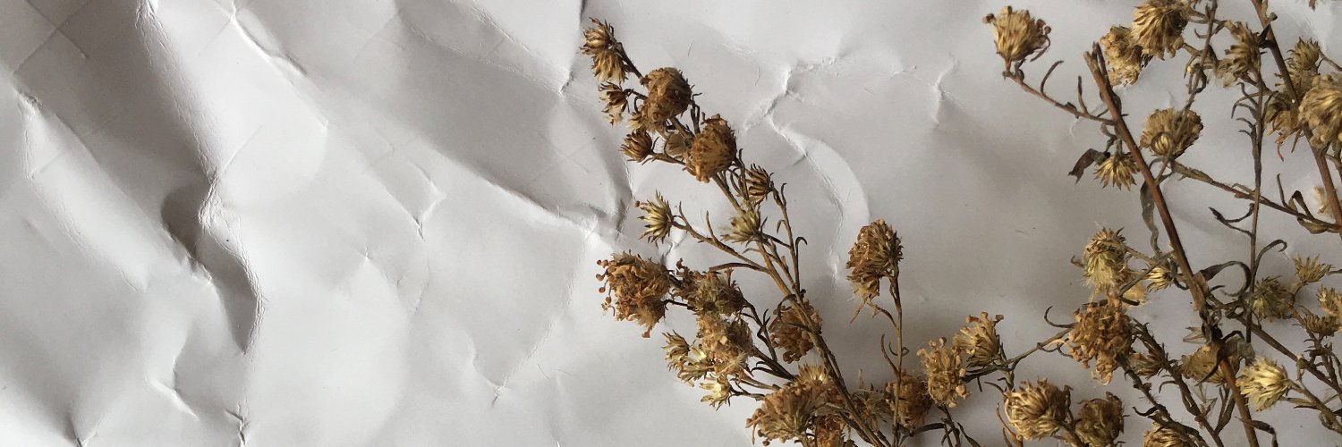 annisha's profile banner image
