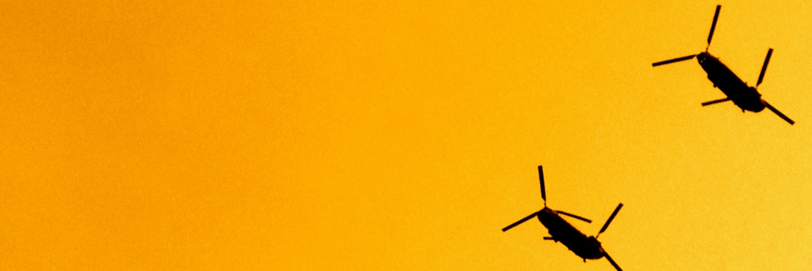 interkidmusic's profile banner image