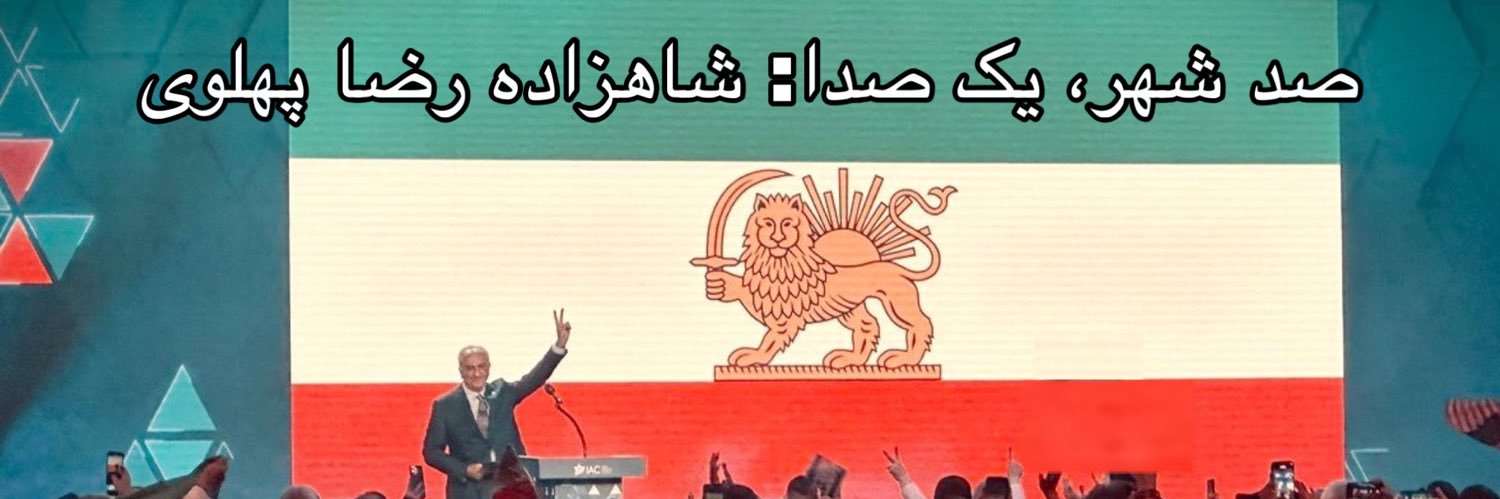 100 Cities Project's banner
