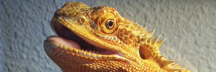 Miiranda2312's profile banner image