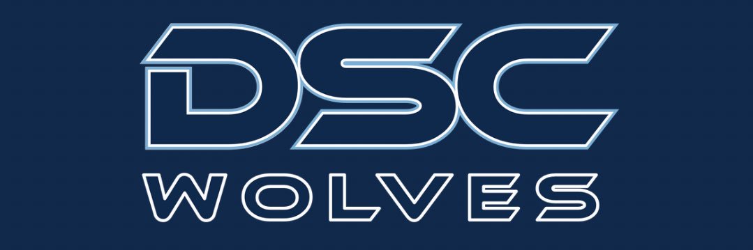 Dominion Sports Collective⚾️ banner