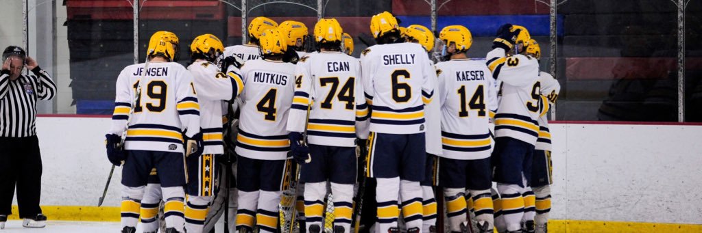 Valley Forge Minutemen banner